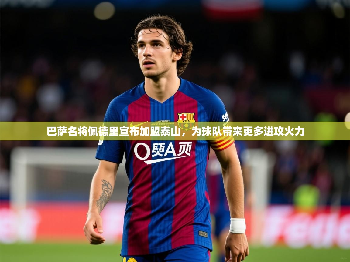 2025开云体育入口注册巴萨名将佩德里宣布加盟泰山,为球队带来更多进攻火力 第3张