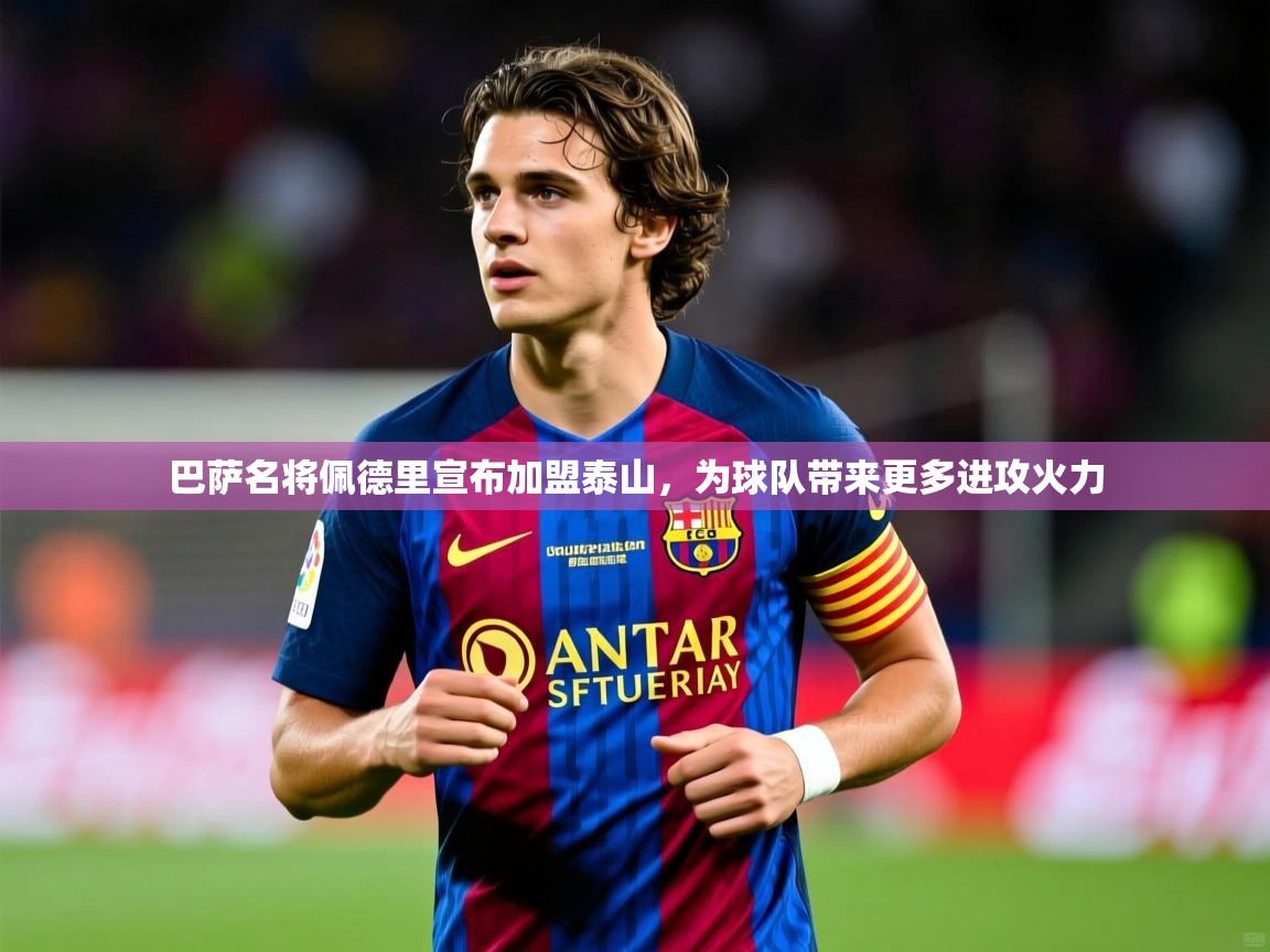 2025开云体育入口注册巴萨名将佩德里宣布加盟泰山,为球队带来更多进攻火力 第4张