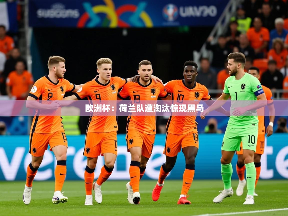 2025开云体育在线欧洲杯:荷兰队遭淘汰惊现黑马 第1张