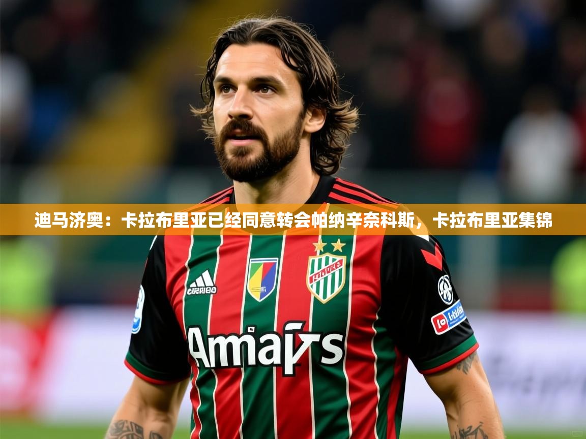 2025开云体育入口注册迪马济奥：卡拉布里亚已经同意转会帕纳辛奈科斯，卡拉布里亚集锦  第1张