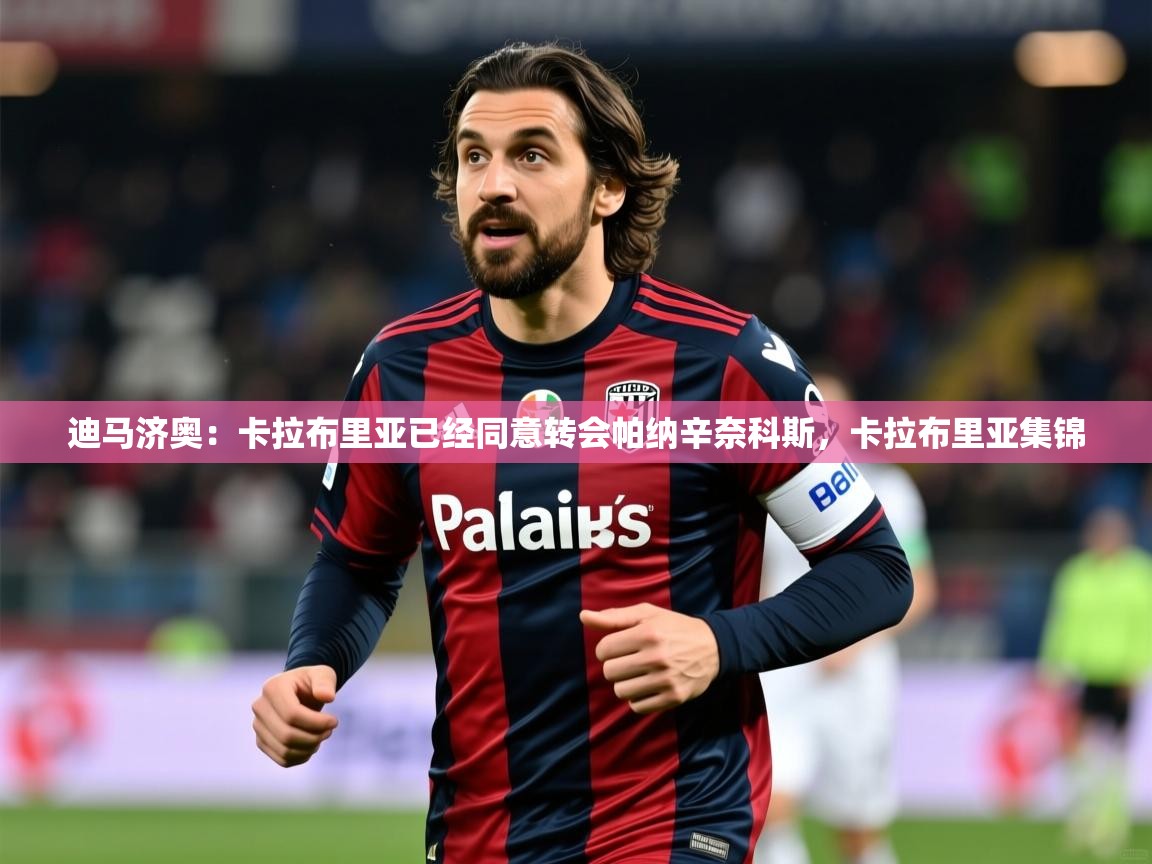 2025开云体育入口注册迪马济奥：卡拉布里亚已经同意转会帕纳辛奈科斯，卡拉布里亚集锦  第2张