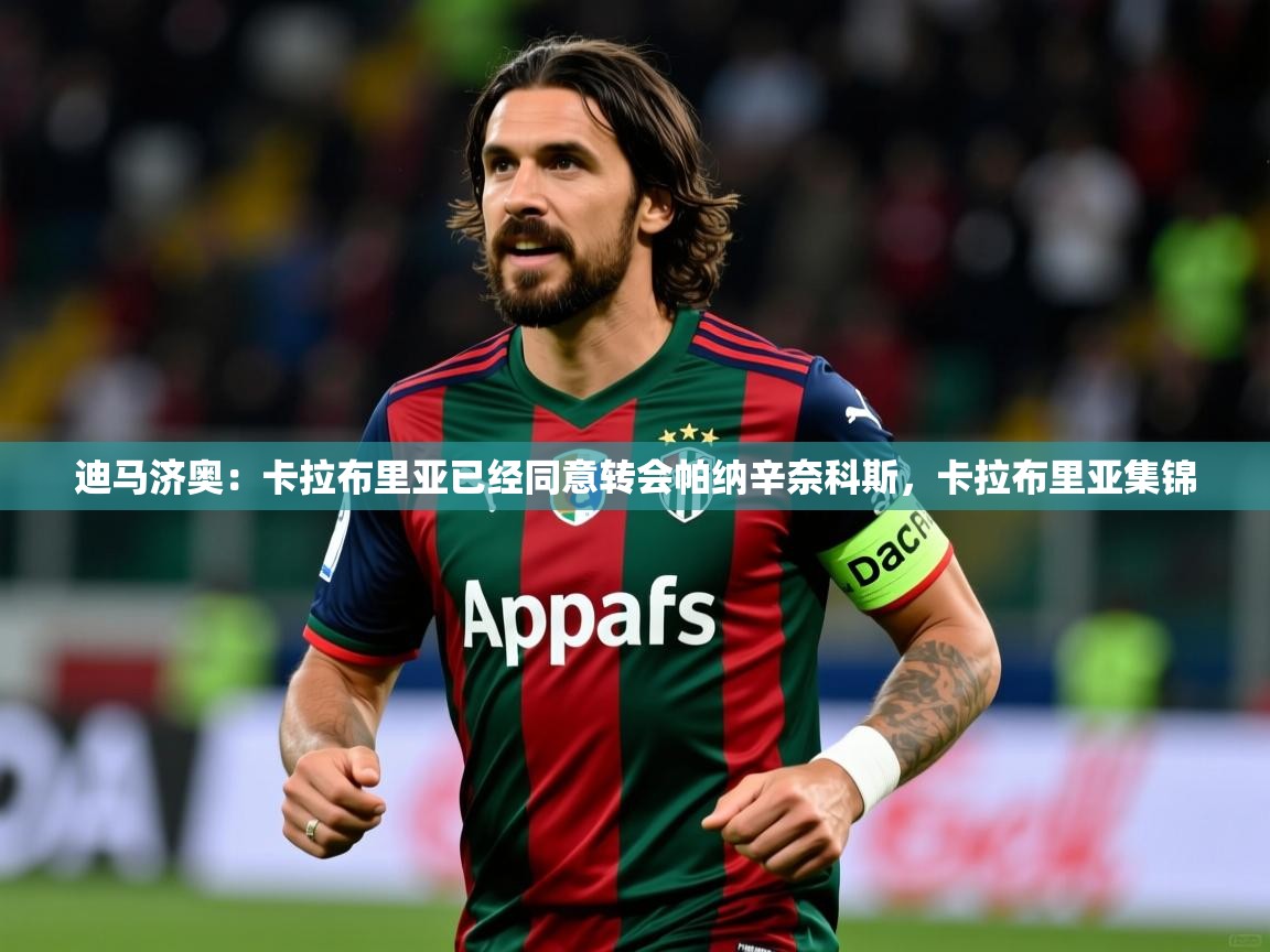 2025开云体育入口注册迪马济奥：卡拉布里亚已经同意转会帕纳辛奈科斯，卡拉布里亚集锦  第4张