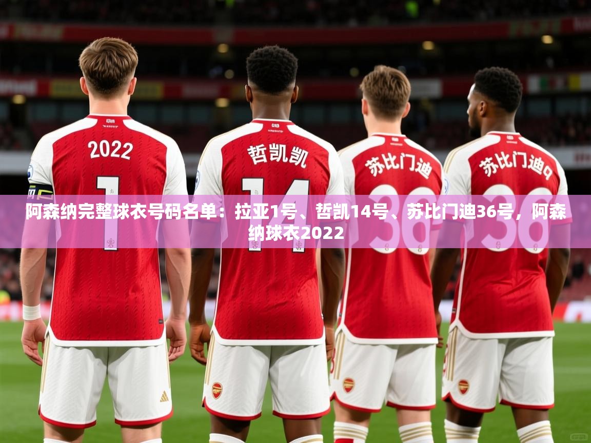 2025开云体育app优惠阿森纳完整球衣号码名单:拉亚1号、哲凯14号、苏比门迪36号,阿森纳球衣2022 第4张