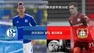 沙尔克队员集体罢赛，教练沉默无语