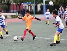 开云体育在线直播-足球赛事中的精彩瞬间令人难忘